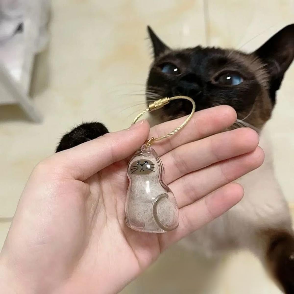 うちの子のけだまだま 全6種セット アクリル猫の毛皮ロープペットヘアコレクションコンテナ付きディスプレイケースペットの記念品用キーチェーンペンダントオフィス・家庭用 愛猫家のための便利でおしゃれな小物