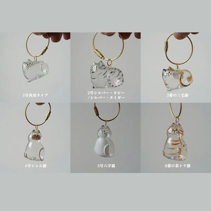 うちの子のけだまだま 全6種セット アクリル猫の毛皮ロープペットヘアコレクションコンテナ付きディスプレイケースペットの記念品用キーチェーンペンダントオフィス・家庭用 愛猫家のための便利でおしゃれな小物